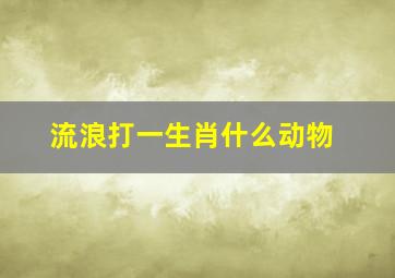 流浪打一生肖什么动物