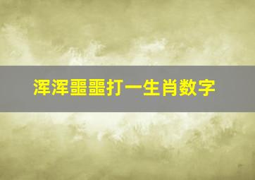 浑浑噩噩打一生肖数字