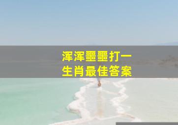 浑浑噩噩打一生肖最佳答案