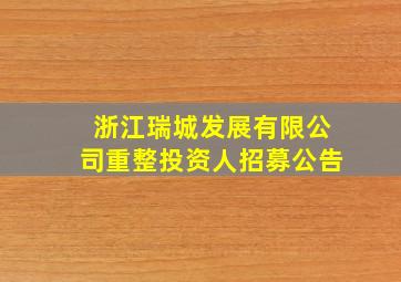 浙江瑞城发展有限公司重整投资人招募公告