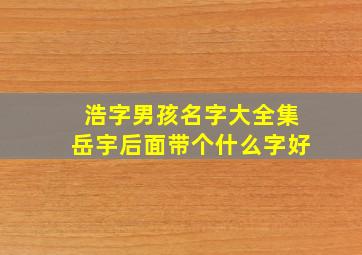 浩字男孩名字大全集岳宇后面带个什么字好