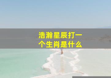 浩瀚星辰打一个生肖是什么