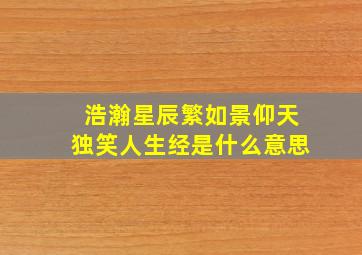 浩瀚星辰繁如景仰天独笑人生经是什么意思