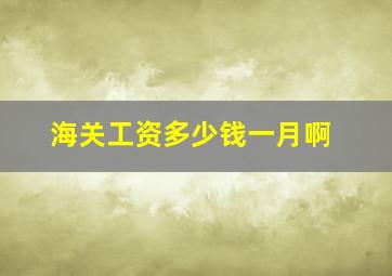 海关工资多少钱一月啊