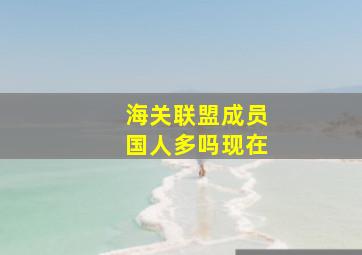 海关联盟成员国人多吗现在