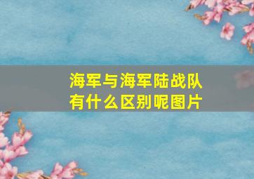 海军与海军陆战队有什么区别呢图片