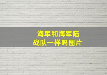 海军和海军陆战队一样吗图片