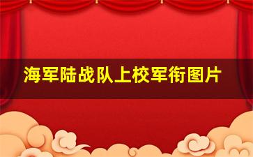 海军陆战队上校军衔图片