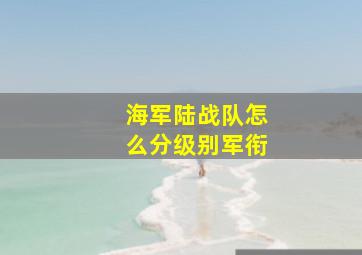 海军陆战队怎么分级别军衔