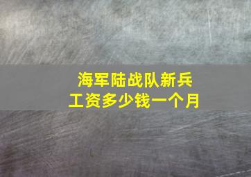 海军陆战队新兵工资多少钱一个月