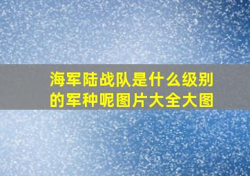 海军陆战队是什么级别的军种呢图片大全大图