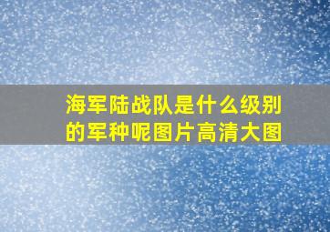 海军陆战队是什么级别的军种呢图片高清大图