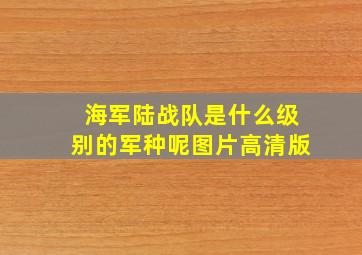 海军陆战队是什么级别的军种呢图片高清版