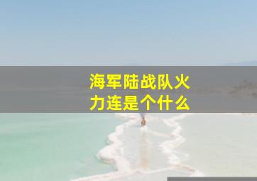 海军陆战队火力连是个什么