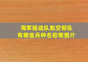 海军陆战队航空部队有哪些兵种名称呢图片