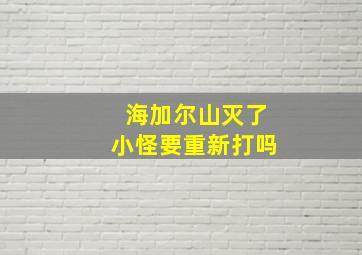 海加尔山灭了小怪要重新打吗