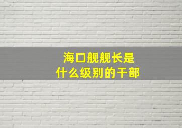 海口舰舰长是什么级别的干部