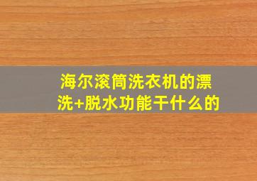 海尔滚筒洗衣机的漂洗+脱水功能干什么的