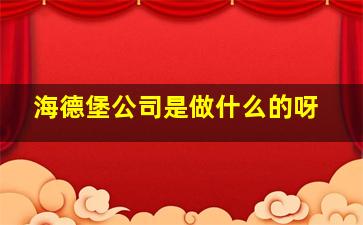 海德堡公司是做什么的呀