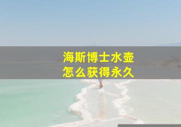 海斯博士水壶怎么获得永久