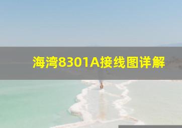 海湾8301A接线图详解