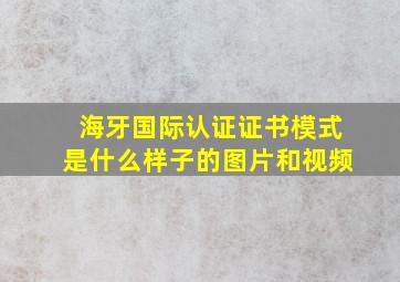 海牙国际认证证书模式是什么样子的图片和视频