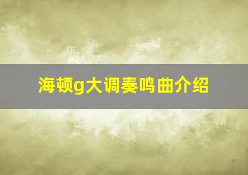 海顿g大调奏鸣曲介绍