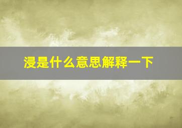 浸是什么意思解释一下