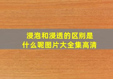 浸泡和浸透的区别是什么呢图片大全集高清