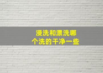 浸洗和漂洗哪个洗的干净一些