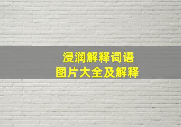 浸润解释词语图片大全及解释