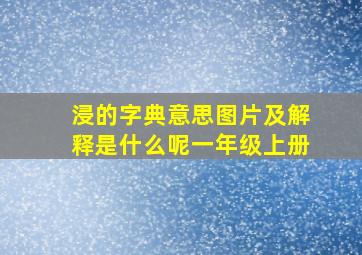 浸的字典意思图片及解释是什么呢一年级上册