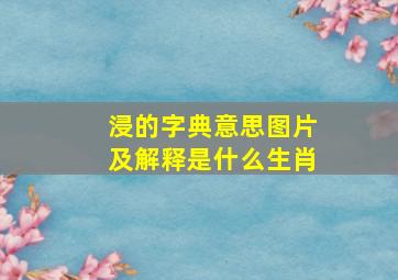 浸的字典意思图片及解释是什么生肖