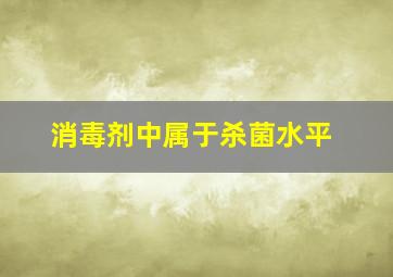 消毒剂中属于杀菌水平