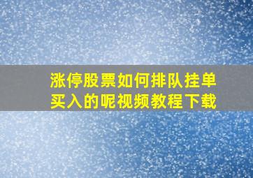 涨停股票如何排队挂单买入的呢视频教程下载