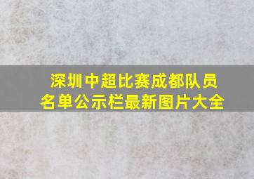 深圳中超比赛成都队员名单公示栏最新图片大全