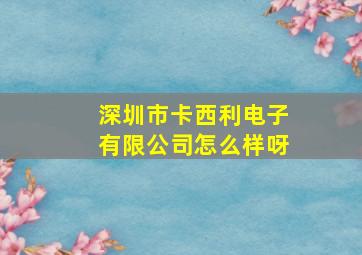 深圳市卡西利电子有限公司怎么样呀