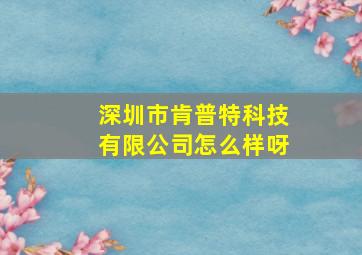 深圳市肯普特科技有限公司怎么样呀