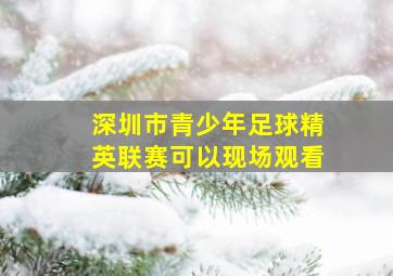 深圳市青少年足球精英联赛可以现场观看