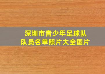 深圳市青少年足球队队员名单照片大全图片