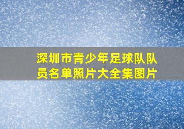 深圳市青少年足球队队员名单照片大全集图片