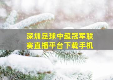 深圳足球中超冠军联赛直播平台下载手机