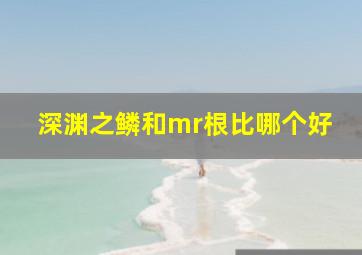 深渊之鳞和mr根比哪个好