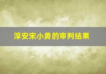 淳安宋小勇的审判结果