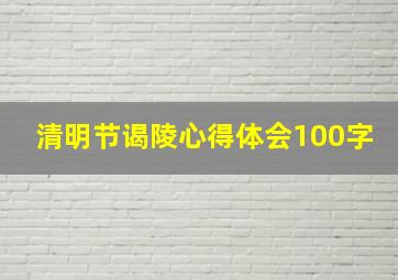 清明节谒陵心得体会100字