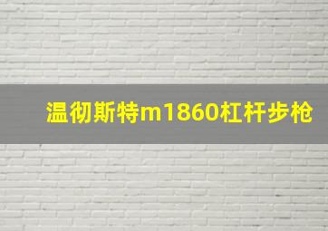 温彻斯特m1860杠杆步枪