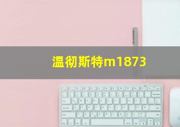 温彻斯特m1873