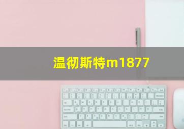 温彻斯特m1877