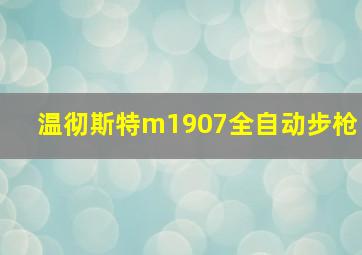 温彻斯特m1907全自动步枪