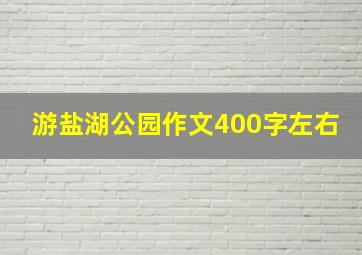 游盐湖公园作文400字左右